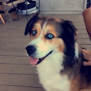 Meet your Posher, Ava